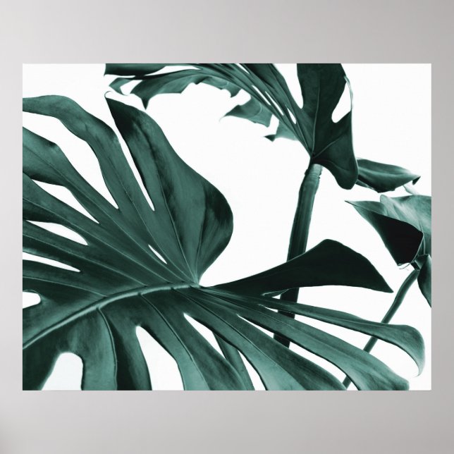 Póster Monstera deja Poster (Frente)