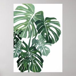 Póster Monstera hojas Closeup