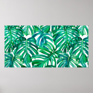 Póster Monstera leaves on isolated background, watercolor