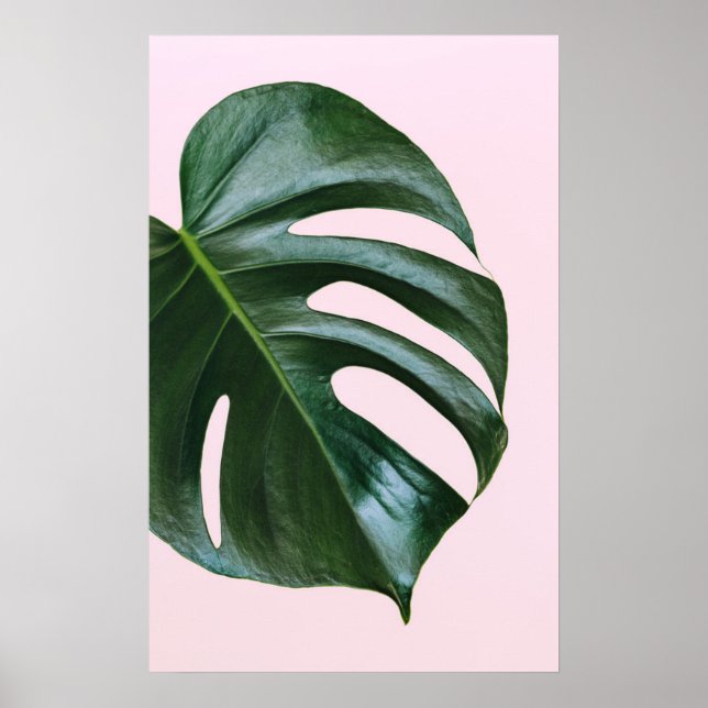Póster Monstera Tropical Leaf (Frente)