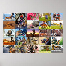 PÓSTER "MONTAJE" DE PERROS TRABAJADORES MILITARES DE EE.U