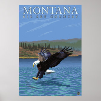 Póster Montana — Big Sky CountryDiving Eagle