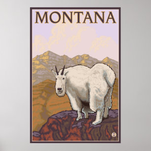 Póster Montana - Cabra de montaña