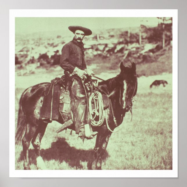 Póster Montana Cowboy, c.1880 (b/w photo) (Frente)