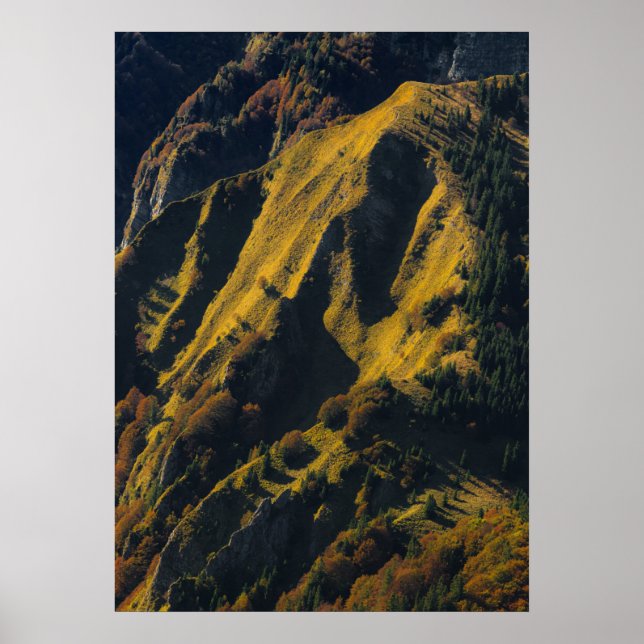 Póster Montaña cubierta de hierba en otoño (Frente)