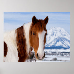 Póster Montaña de caballos de Pinto Moran en invierno