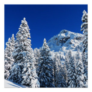 Póster Montaña de la nieve