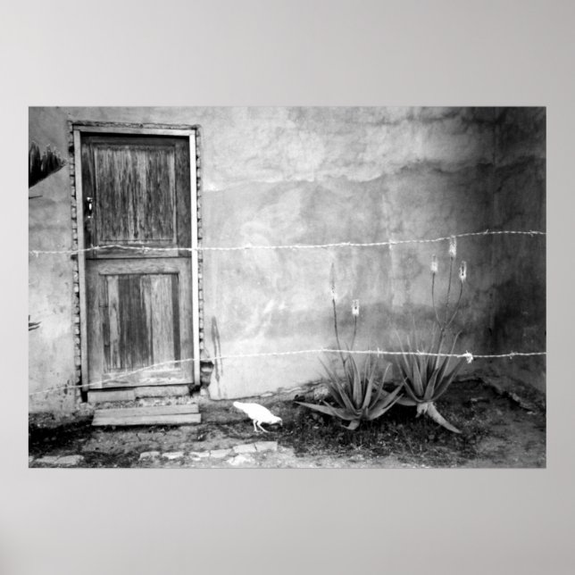 Póster Montana de' Luz, Honduras (Frente)