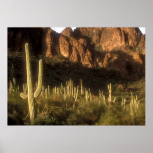 Póster Montaña de superstición
