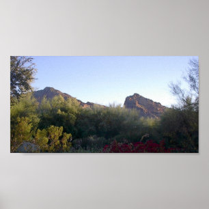 Póster Montaña del Camelback