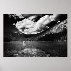 Póster Montana Fisherman