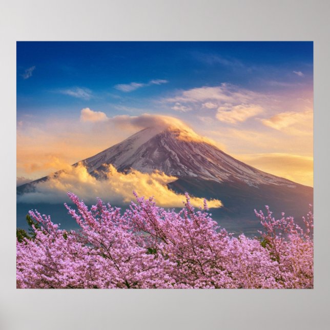 Póster Montaña Fuji y florecimiento de cerezos en primave (Frente)