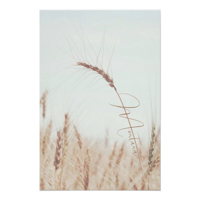 Póster Montana Golden Whate Head Blue Sky (Anverso)