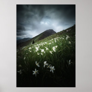 Póster Montaña Golica y flores de Narciso