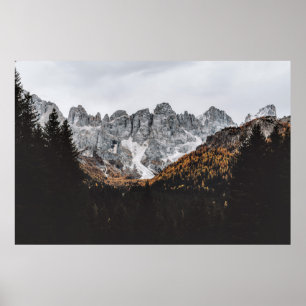 PÓSTER MONTAÑA GRIS ROCKY CON ÁRBOLES POR DEBAJO DEL DÍA