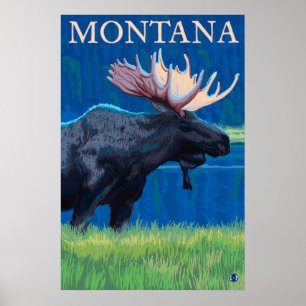 Póster Montana - Moose