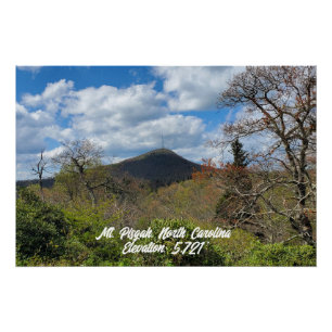 Póster Montaña Pisgah Carolina del Norte Elevación Rodal 