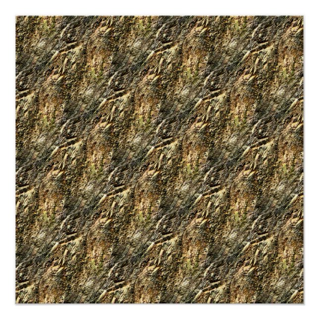 Póster Montaña Ripplin... (Anverso)