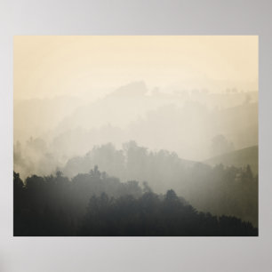 PÓSTER MONTAÑA RODEADA DE ÁRBOLES