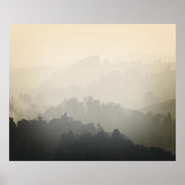 PÓSTER MONTAÑA RODEADA DE ÁRBOLES (Frente)