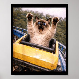 Póster Montaña Rusa de Gato Divertida Gráfica de Meme Ton