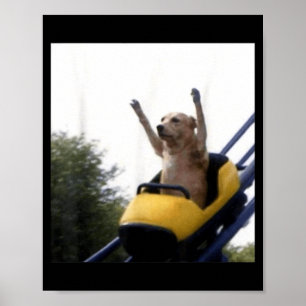 Póster Montaña Rusa Perro Labrador Meme Divertido