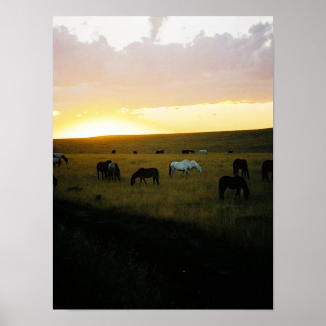 Póster Montana Sky (Frente)