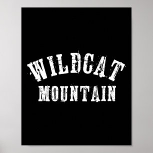 Póster Montaña Wildcat Grungy Rústico Artesanal Esquiador