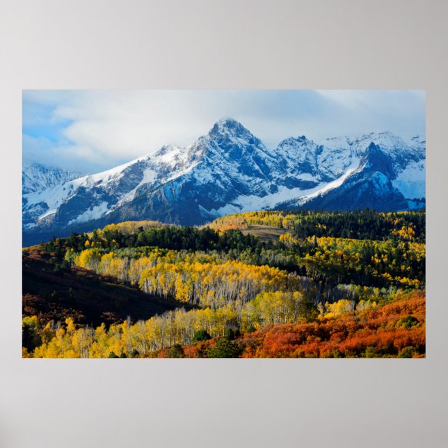 Póster Montaña y árboles nevados (Frente)
