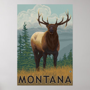 Póster MontanaElk Scene