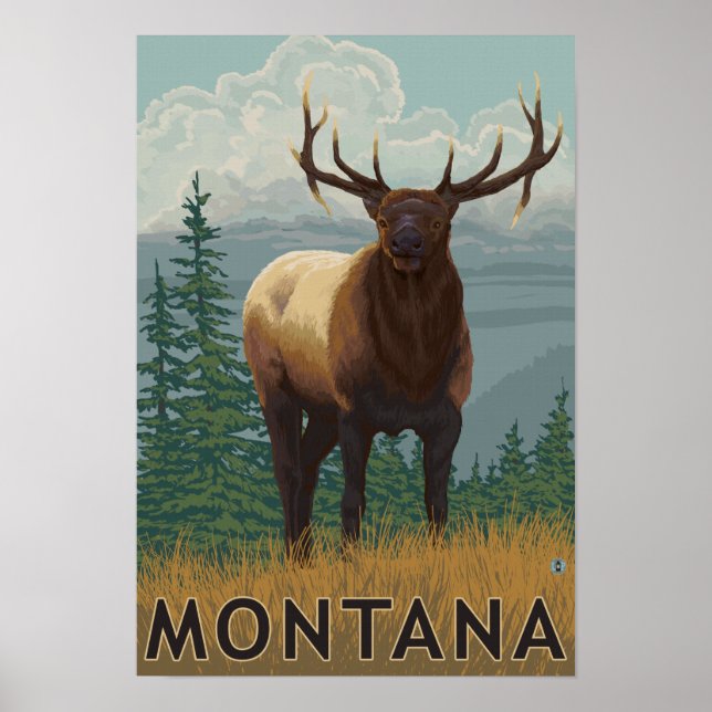 Póster MontanaElk Scene (Frente)