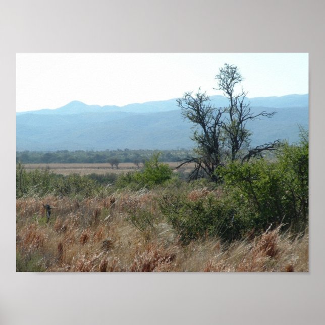 Póster montañas (Frente)