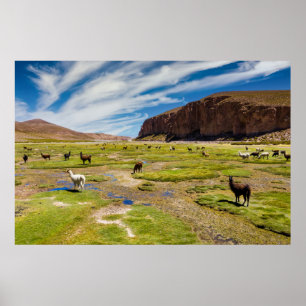 Póster Montañas   Andes bolivianos