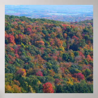 Póster Montañas Apalaches en otoño