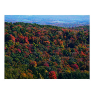 Póster Montañas Apalaches en otoño