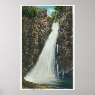 Póster Montañas Blancas Bosque Nat'l