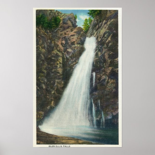 Póster Montañas Blancas Bosque Nat'l (Frente)