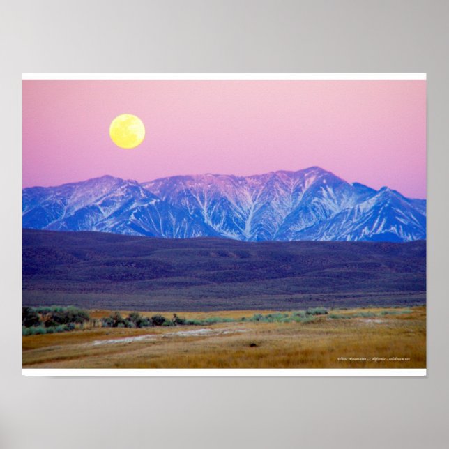 Póster Montañas Blancas, California, Etats-Unis (Frente)
