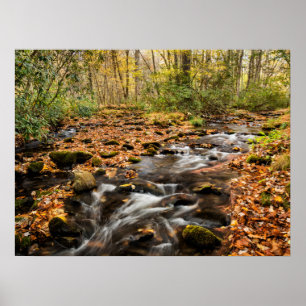 Póster Montañas Cataloochee Creek NC Great Smoky