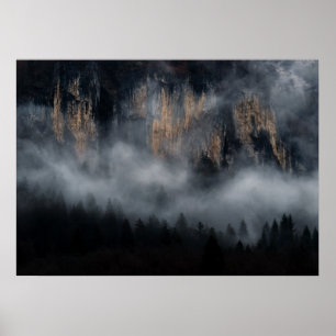 Póster Montañas con niebla a través del bosque de abetos