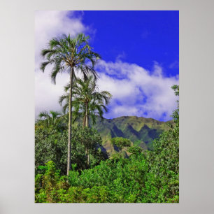 Póster Montañas de Koolau