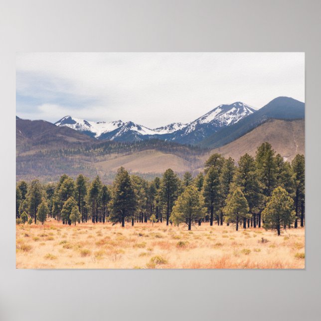 Póster Montañas de San Francisco (Frente)