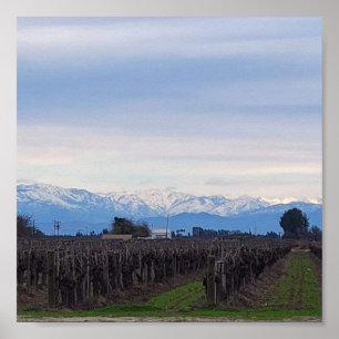 Póster Montañas distantes