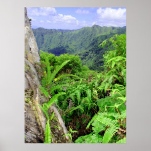 Póster Montañas hawaianas de Koolau