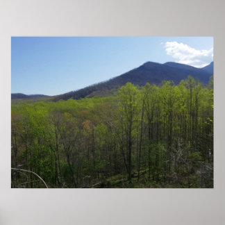 Póster Montañas humeantes en el paisaje de primavera