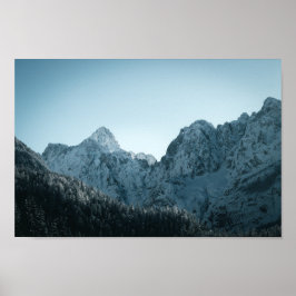 Póster Montañas impresionantes y bosque de abetos