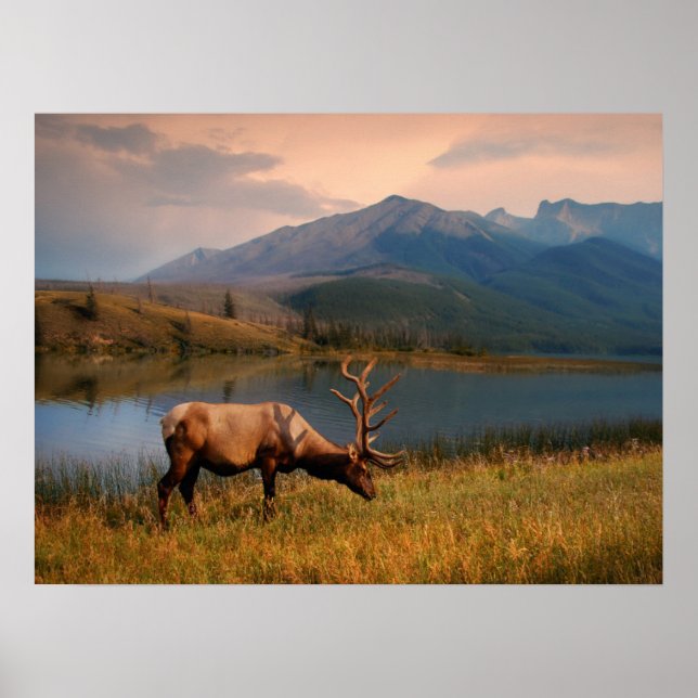 Póster Montañas | Jacques Mountain Range Alberta Canadá (Frente)