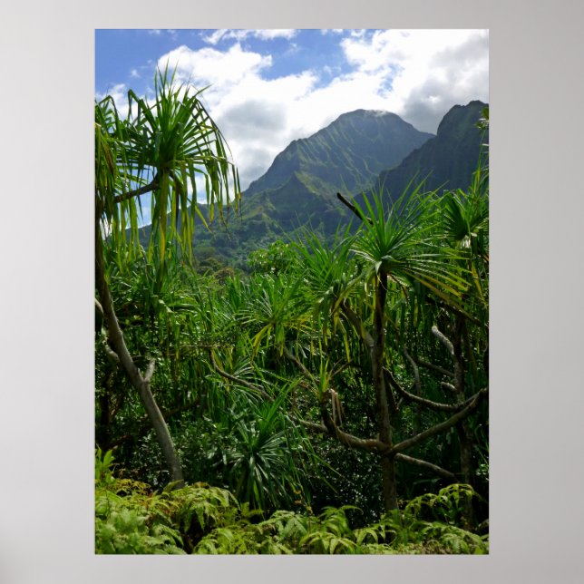 Póster Montañas Koolau (Frente)