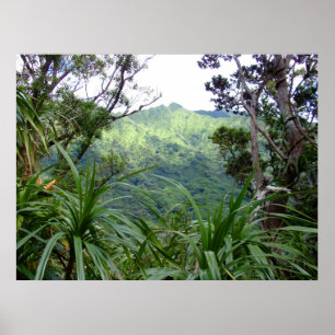 Póster Montañas Koolau sobre el valle de Manoa, O'ahu