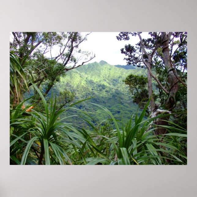 Póster Montañas Koolau sobre el valle de Manoa, O'ahu (Frente)